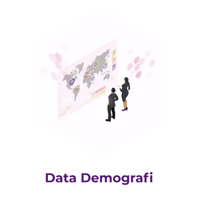 data-demografi